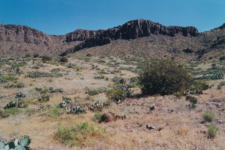 Rockhound State Park